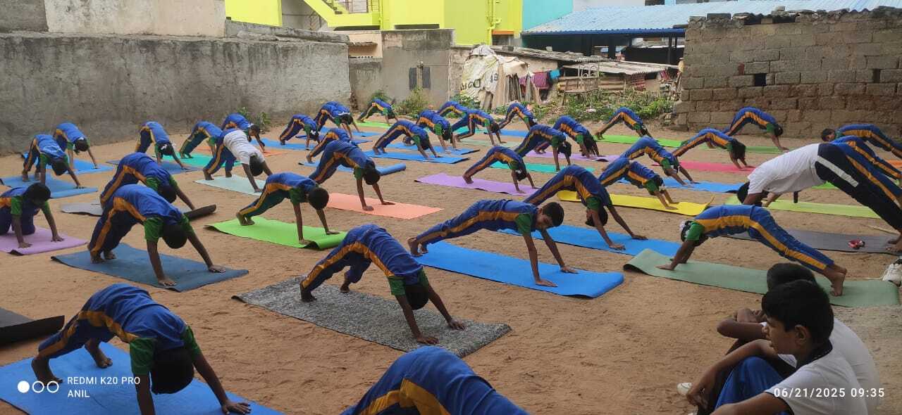 Students doing a guided outdoor yoga flow